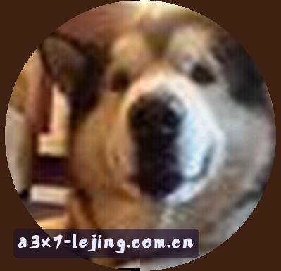 陈悦